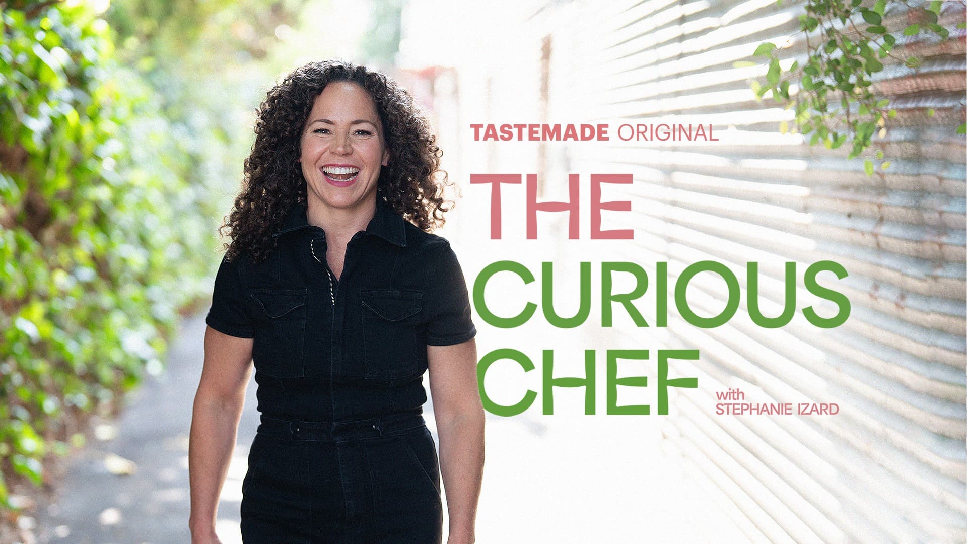 The Curious Chef